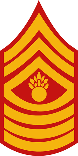 usmc master gunnery sergeant rank decal