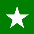 5" M-SERIES STAR DECAL